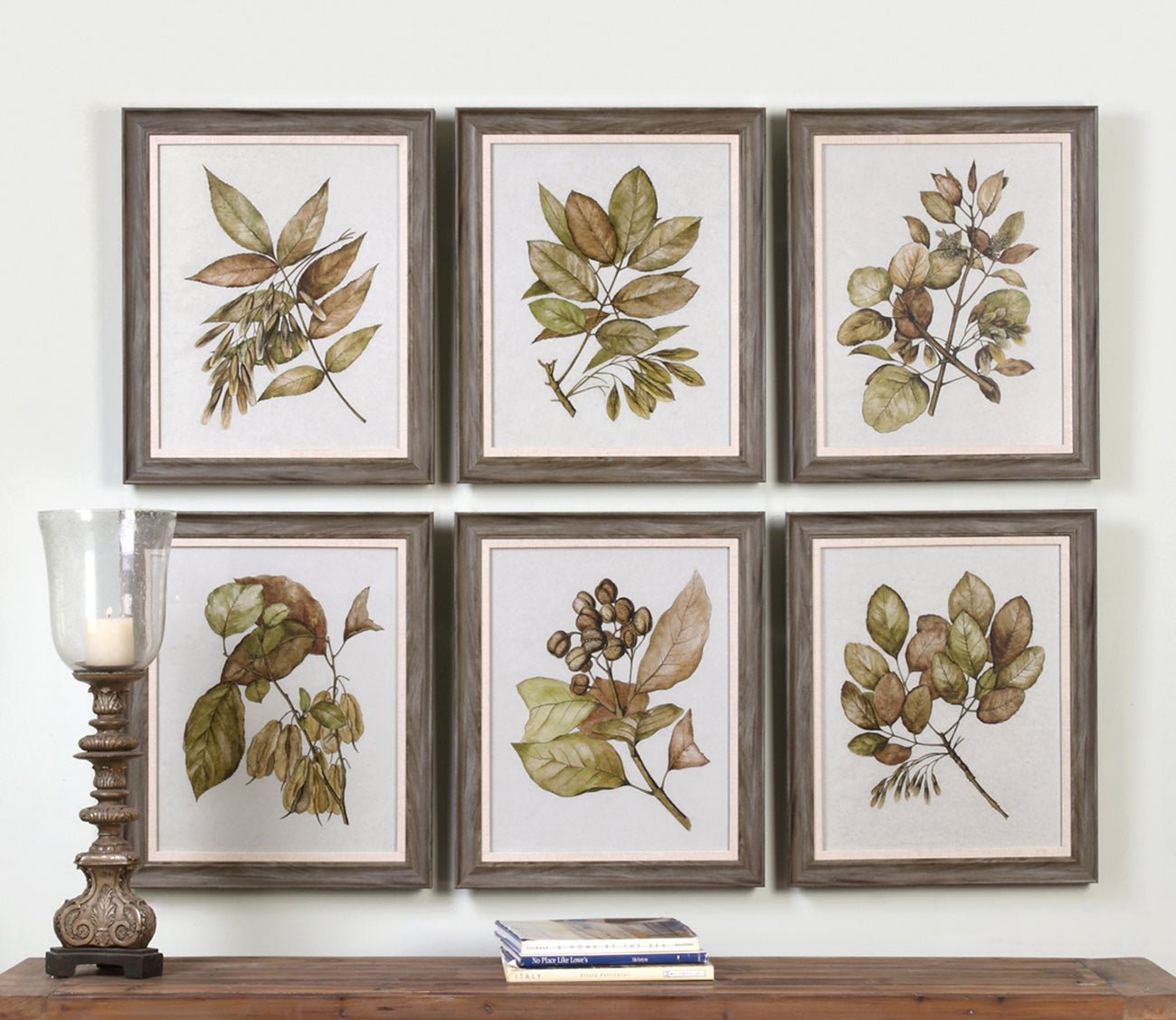 Seedlings Framed Prints Set of 6