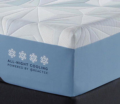 Serta Arctic Plush Memory Foam Mattress by Serta