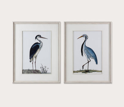 Shore Birds Framed Prints Set of 2 by Uttermost