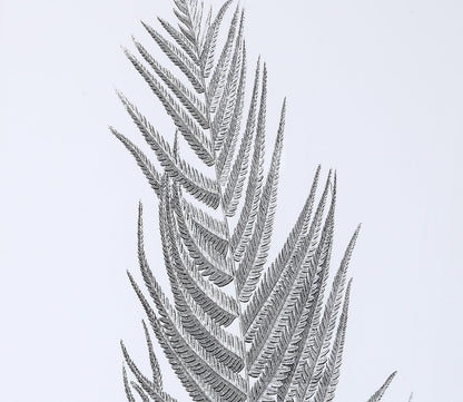 Silver Ferns Framed Prints Set of 2 by Uttermost