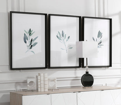 Simple Sage Framed Prints Set of 3 by Uttermost