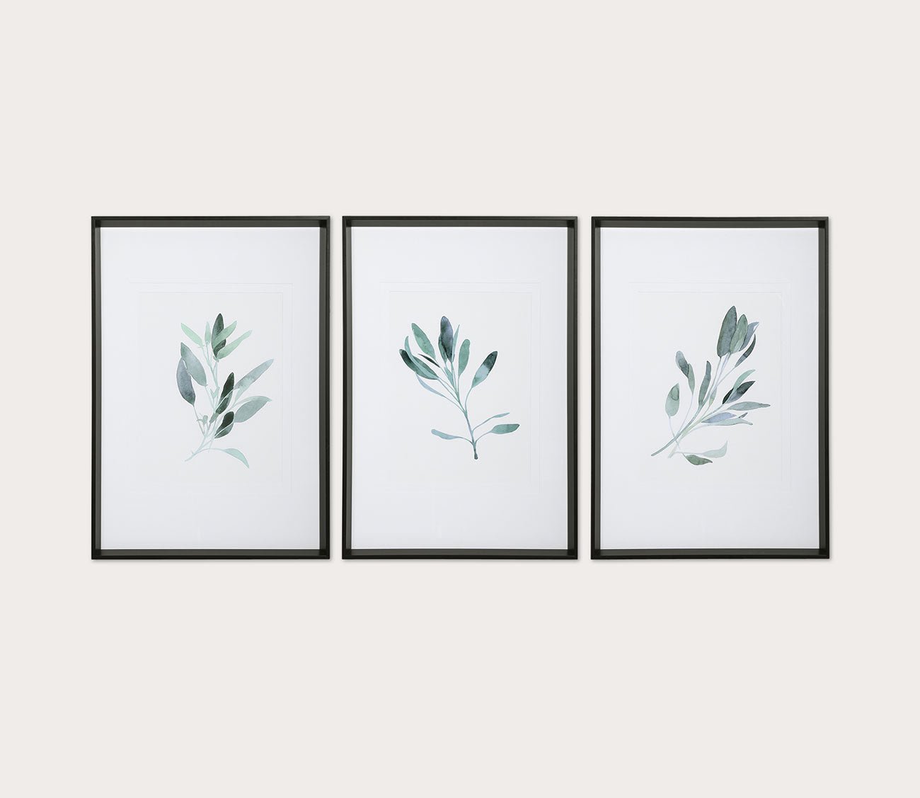 Simple Sage Framed Prints Set of 3 by Uttermost