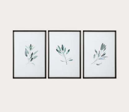 Simple Sage Framed Prints Set of 3 by Uttermost