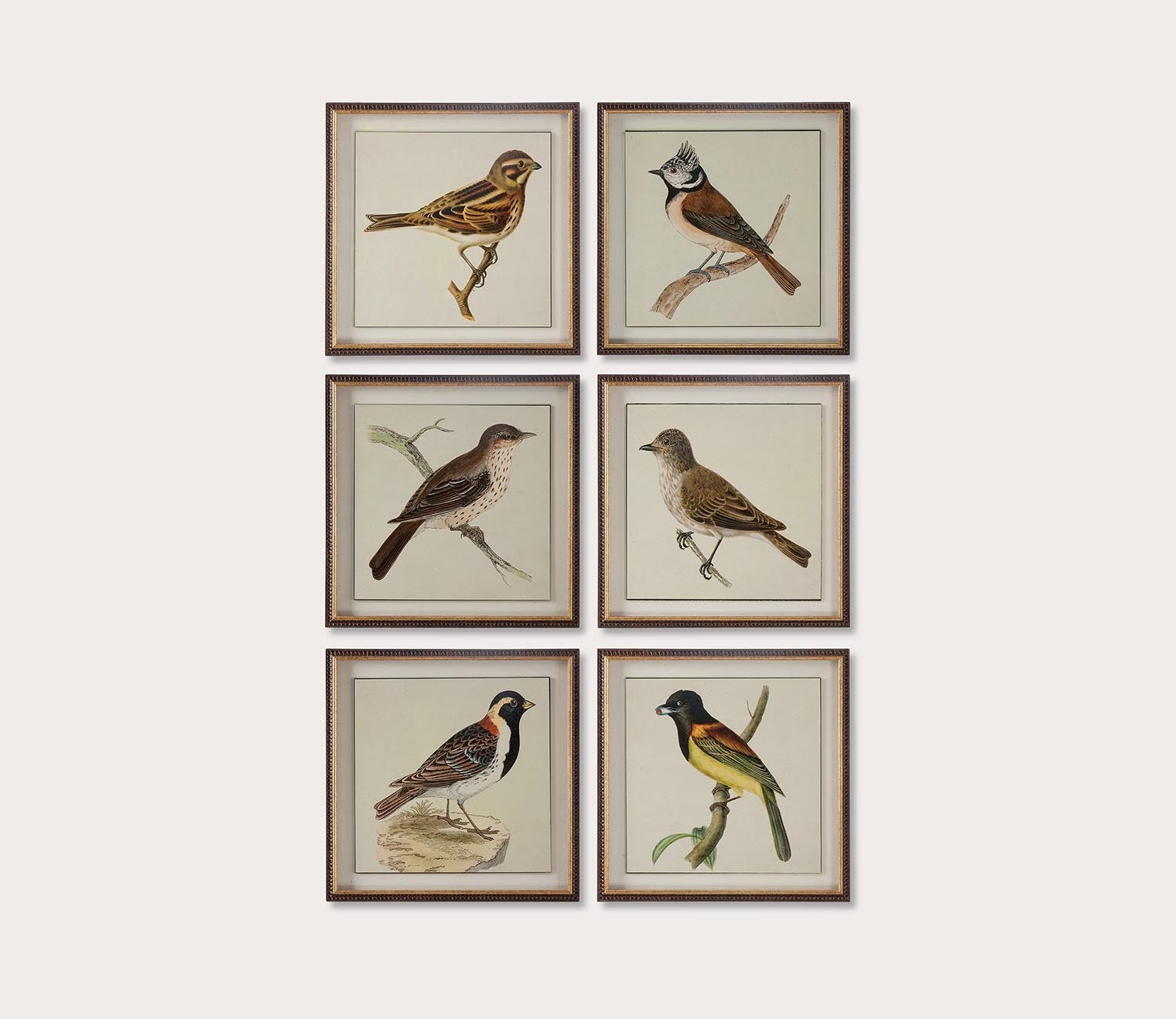 Spring Soldiers Framed Prints Set of 6 by Uttermost