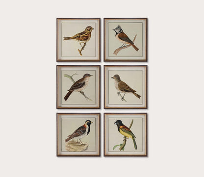 Spring Soldiers Framed Prints Set of 6 by Uttermost