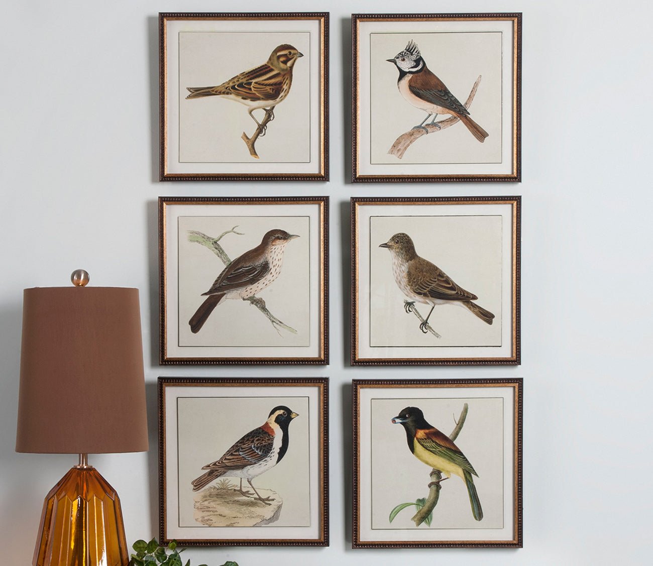 Spring Soldiers Framed Prints Set of 6