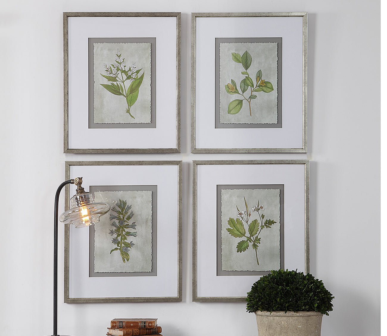 Stem Study Framed Prints Set of 4