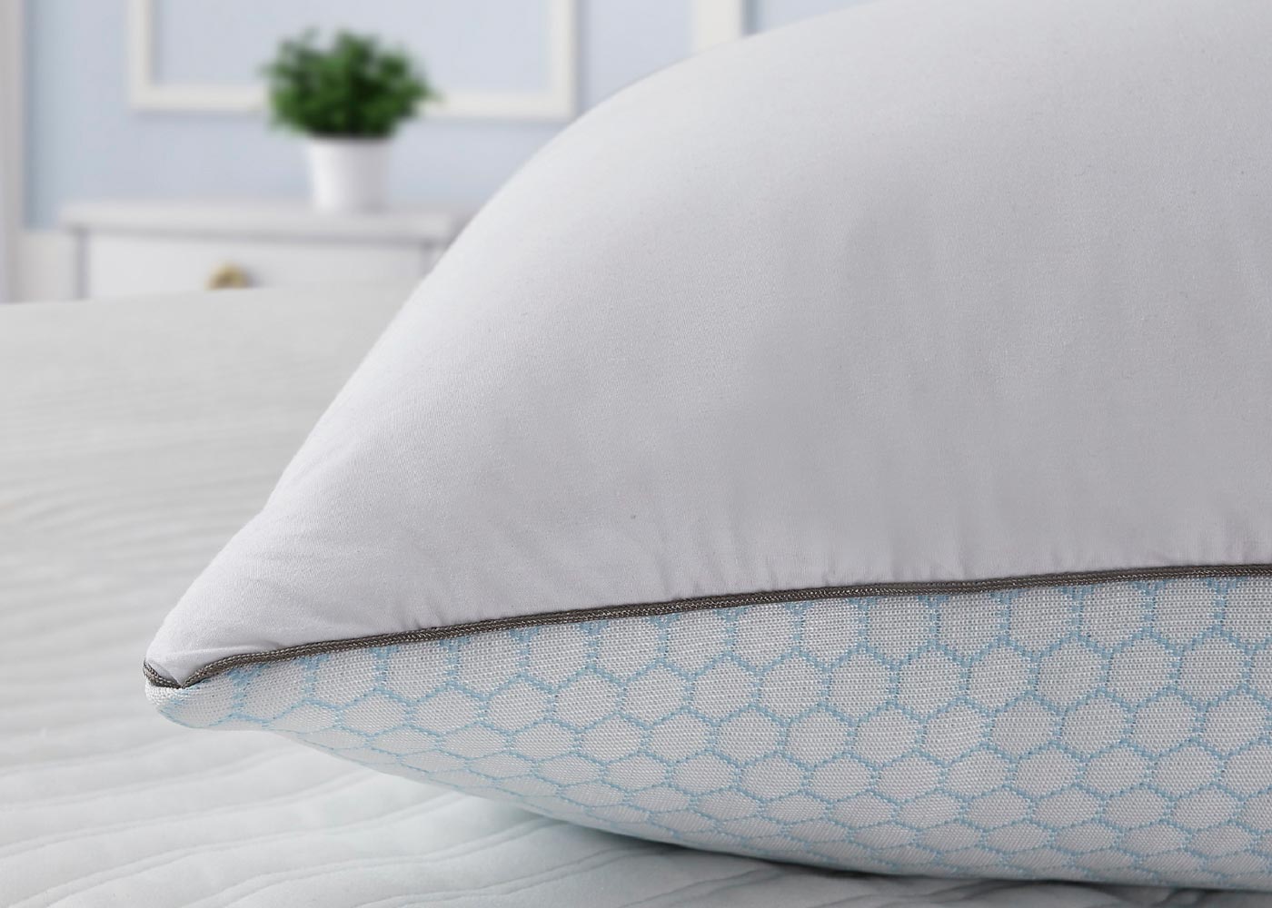 Summer and Winter White Goose Feather Pillow 2-Pack by Scott Living