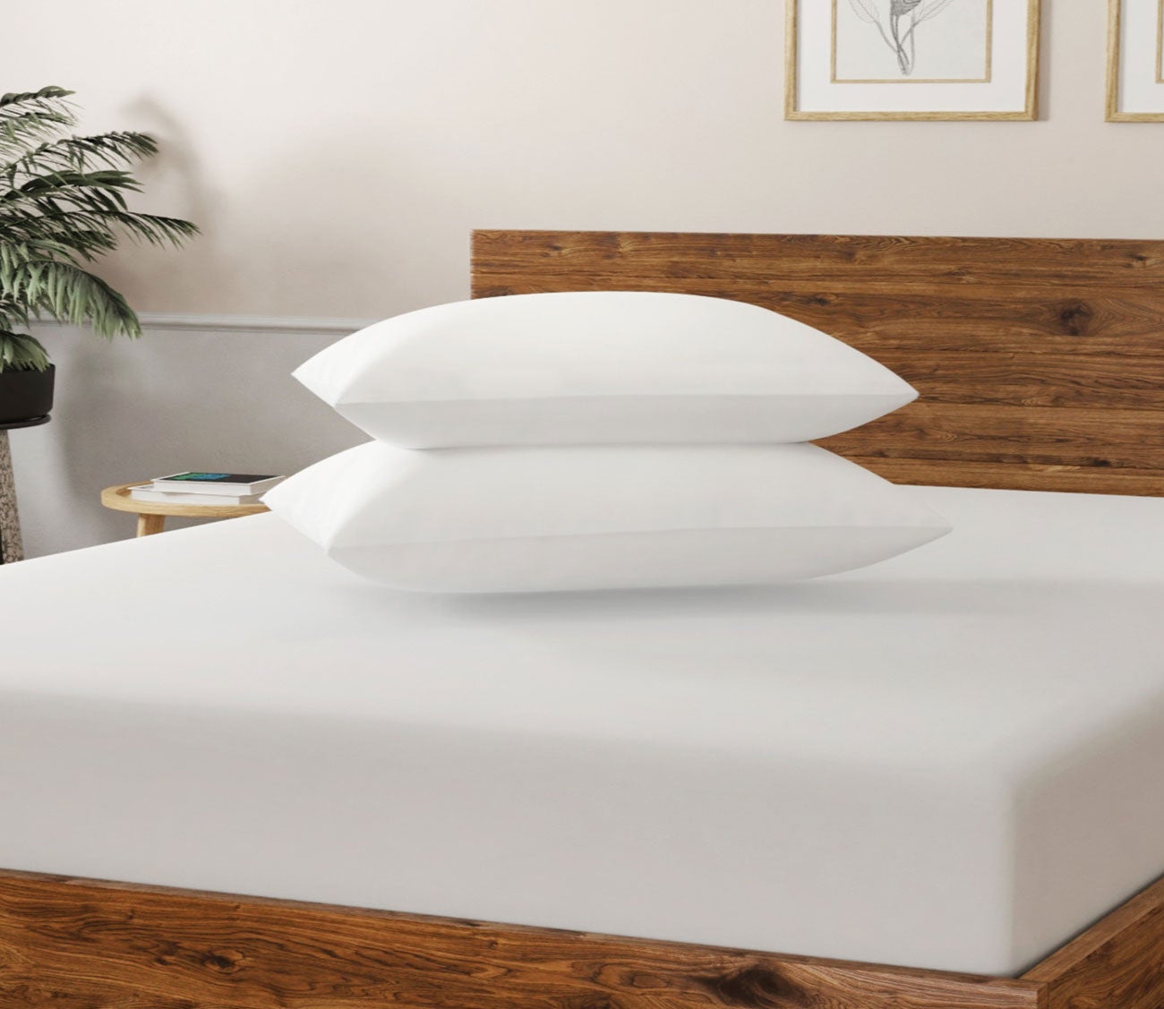 Ultra-Fresh Antimicrobial Cotton Cover Fiber Pillow Set of 2 by Soft-Tex