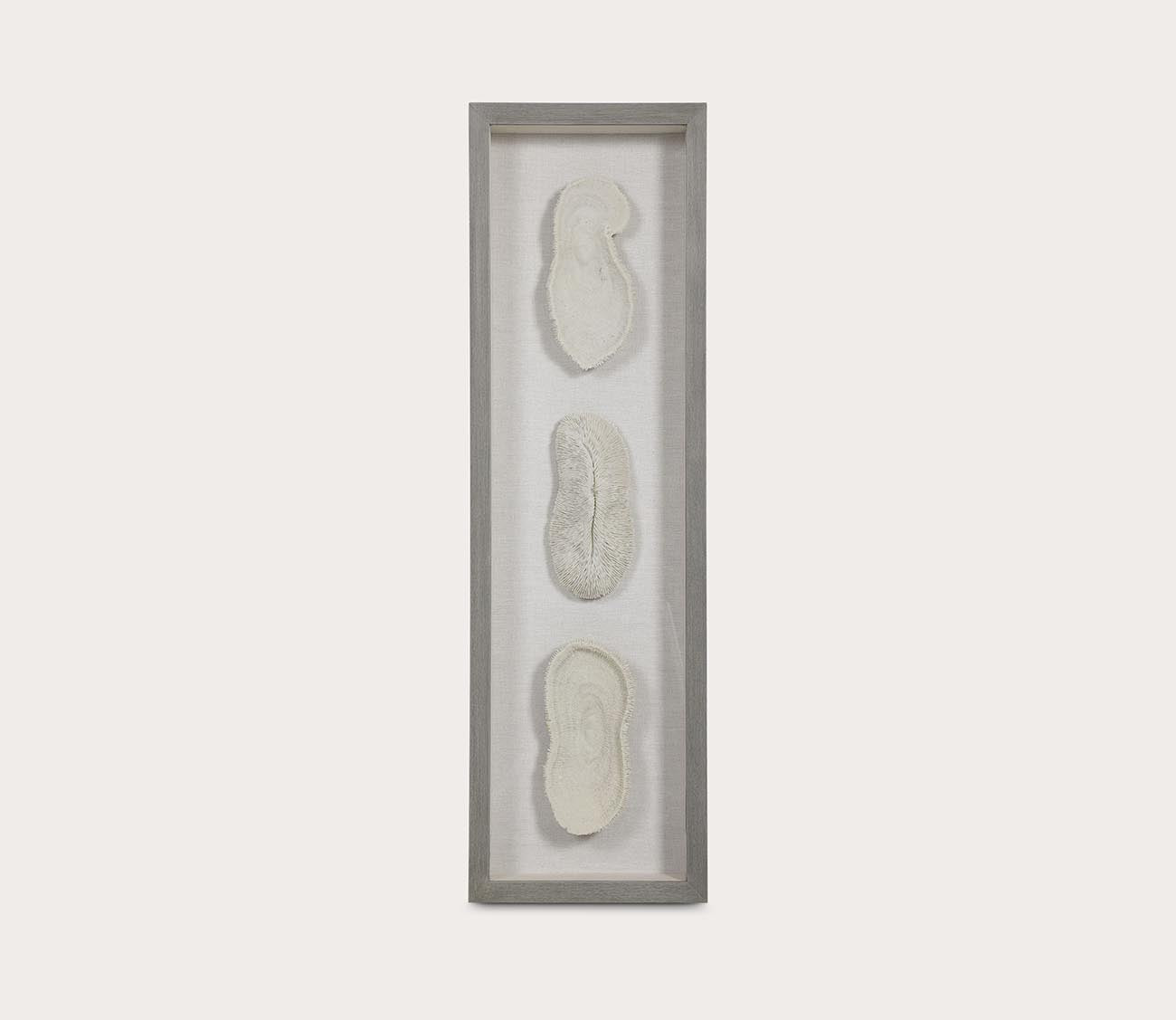 White Coral Shadow Box by Uttermost