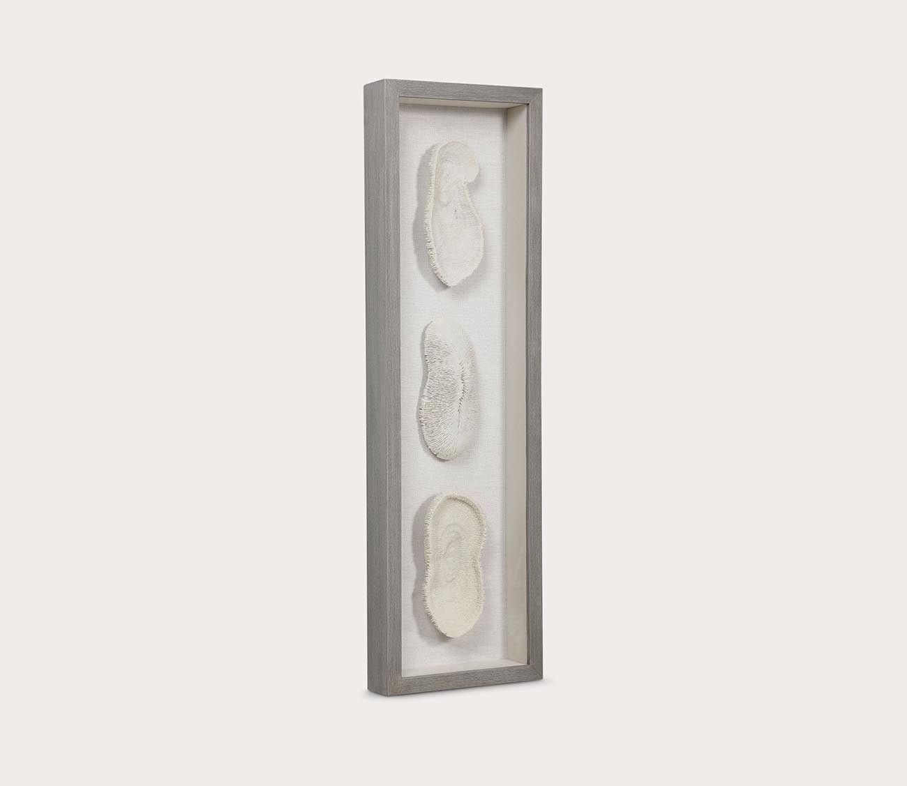 White Coral Shadow Box by Uttermost