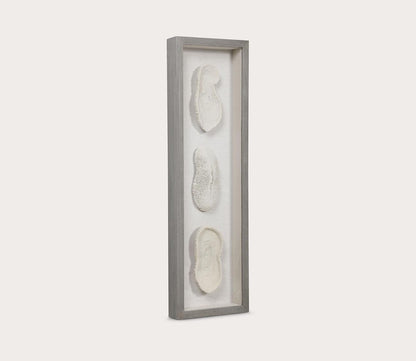 White Coral Shadow Box by Uttermost