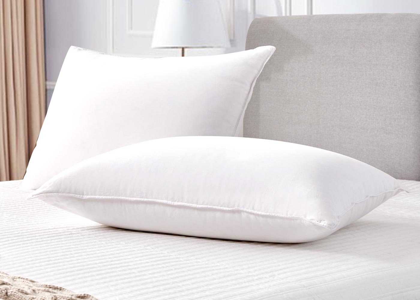 White Goose Feather and Down Fiber Back Sleeper Pillow 2-Pack