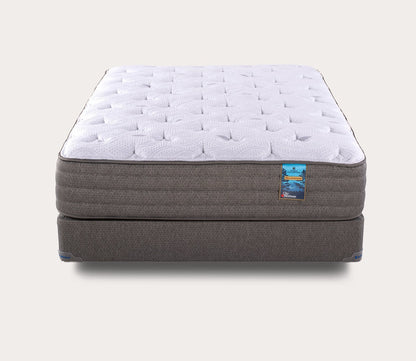 Yellowstone Ultra Plush Mattress by City Mattress